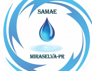 logo-miraselva_(389).jpeg